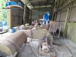 Empresa industrial con una l�nea de producci�n para el reciclaje y la fabricaci�n de pl�sticos LDPE, con una capacidad de 50 toneladas mensuales.